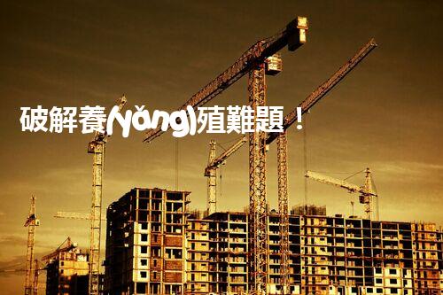 破解養(yǎng)殖難題！生豬廢水處理的創(chuàng)新之路？